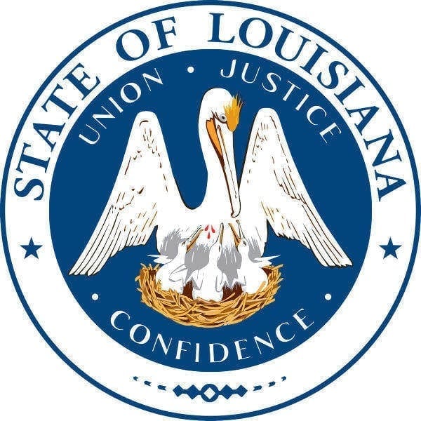 louisiana pipeline system